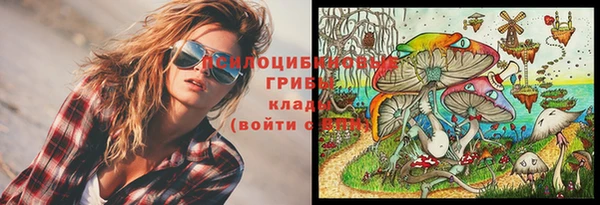 скорость Белокуриха